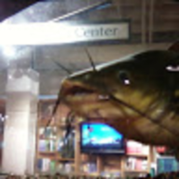 Meet your Posher, Allana - Picture 1 of 1